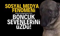 Fenomen köpek boncuk, sevenlerini üzdü!