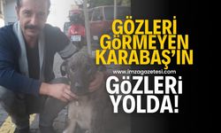 Gözleri görmeyen Karabaş’ın gözleri yolda!