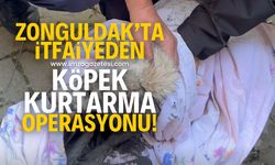 İtfaiye, kanala sıkışan köpeği böyle kurtardı!