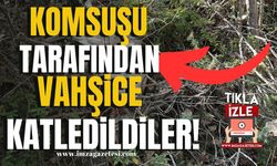 Kadına, çocuğa, hayvana şiddet bitmiyor! Vahşice katledildiler