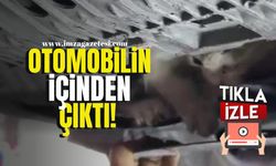 Karabük'te Otomobilden Çıktı!