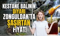 Kestane balının diyarı Zonguldak'ta "kestane balının fiyatı" dudak uçuklattı!