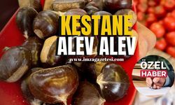 Kestane alev alev!