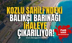 Kozlu Sahili'nde bulunan Balıkçı Barınağı İhaleye Çıkıyor!