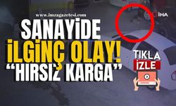 Sanayide ilginç olay! Akıllı hırsız karga iş başında!