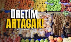 Tarla Ürünleri Azalacak, Meyve ve Sebze Üretimi Artacak!