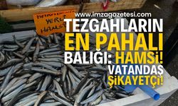 Tezgâhların En Pahalı Balığı Hamsi! Zonguldak'ta Hamsi Fiyatı El Yakıyor | Zonguldak haber