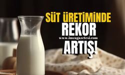 Süt Üretiminde Rekor Artış! İnek Sütü ve Tereyağı Üretimi Zirveye Ulaştı...