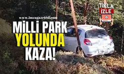 Yedigöller Milli Parkı Yolunda Kaza!