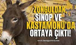 Zonguldak, Sinop ve Kastamonu’da ortaya çıktı!