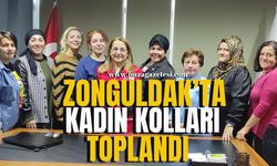 Zonguldak Türk Kızılay İlk Kadın Kolları Başkanlığı Toplandı...