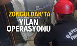 Zonguldak'ın Çaycuma ilçesinde yılan operasyonu!