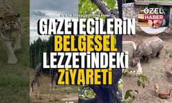 Zonguldaklı gazeteciler belgesel lezzetindeki hayvanat bahçesinde...