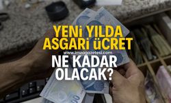 2025 yılında asgari ücret ne kadar olacak?