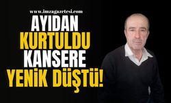 Ayı Saldırısından Kurtulan Arif Adıgüzel Kansere Yenik Düştü... | Bolu Haber