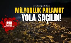 Milyonluk palamut yola saçıldı!