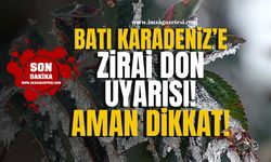 Zonguldak, Bartın,Karabük, Bolu ve Düzce'ye 5 Dereceye Varan Düşüş ve Zirai Don Uyarısı!