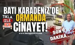 Batı Karadeniz'de ormanda cinayet! Taksici cinayetinde şok gelişme!