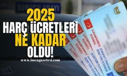 Ehliyet Harç Ücretleri 2025'te Ne Kadar Oldu? | Gündem Haber