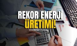 Hizmet ve Ticaret Sektöründe Rekor Enerji Tüketimi... Elektrik İlk Sırada!