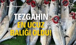 Tezgahın en ucuz balığı oldu!