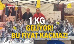 1 Kg geliyor! Fiyatı duyan koşuyor