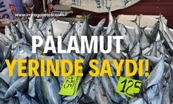 Palamut  yerinde saydı! İlgi görmedi