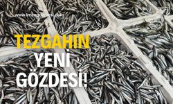 Tezgahın yeni gözdesi! İlgi artıyor