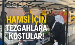 Hamsiye yoğun ilgi!