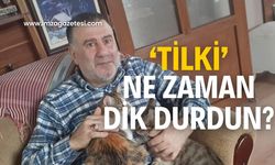 Sami Aydın’dan Tilki’ye gönderme!