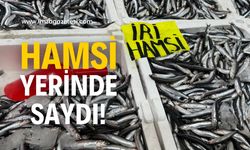 Hamsi yerinde saydı, ilgi bitmedi!