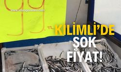 Kilimli’de şok hamsi fiyatı!