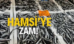 Hamsi zamlandı!