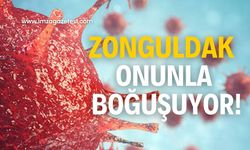 Aman dikkat! Zonguldak onunla boğuşuyor