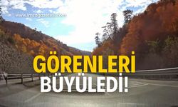 Görenleri büyüledi!