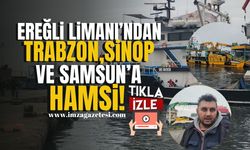 Ereğli Limanı’ndan Trabzon, Sinop ve Samsun’a hamsi sevkiyatı! | Zonguldak Haber