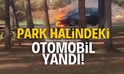 Karabük-Bartın yolunda otomobil alev aldı!