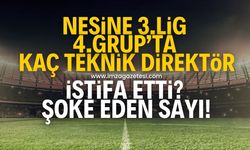 Nesine 3.Lig 4.Grup'ta 11.hafta itibariyle kaç takımda teknik direktör değişikliği yaşandı? Şoke eden sayı