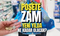 Plastik Poşet Fiyatı Değişiyor! 2025 İçin Yeni Ücret Ne Olacak?