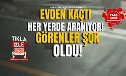 Evden kaçtı! Görenler şaşkına döndü!