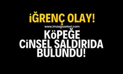 Samsun'un Bafra ilçesinde iğrenç olay! Köpeğe cinsel saldırıda bulundu!