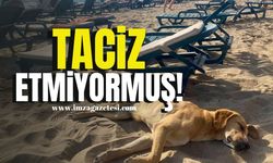 Taciz etmiyormuş!