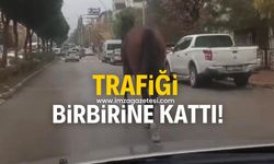 Trafiği tehlikeye attı!