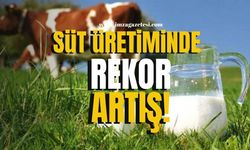 Süt üretiminde rekor artış!