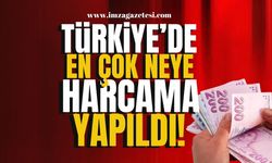 TÜİK açıkladı! Türkiye'de en çok neye harcama yapıldı? | Ekonomi Haber