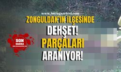 Zonguldak'ın ilçesinde dehşet! Çalıp derisini yüzdüler!