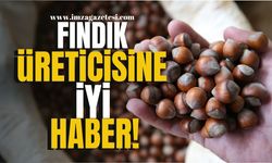 Zonguldak, Giresun, Ordu, Samsun, Trabzon, Bartın, Kocaeli, Düzce'li fındık üreticisine iyi haber!