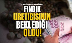 Zonguldak, Giresun, Ordu, Samsun, Trabzon, Bartın, Kocaeli, Düzce'li fındık üreticisinin beklediği oldu!