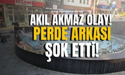 Bartın'da akıl almaz olay! Perde arkası şok etti!