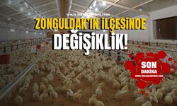 Zonguldak'ta 'Tavuk çiftlik alanına onay!'